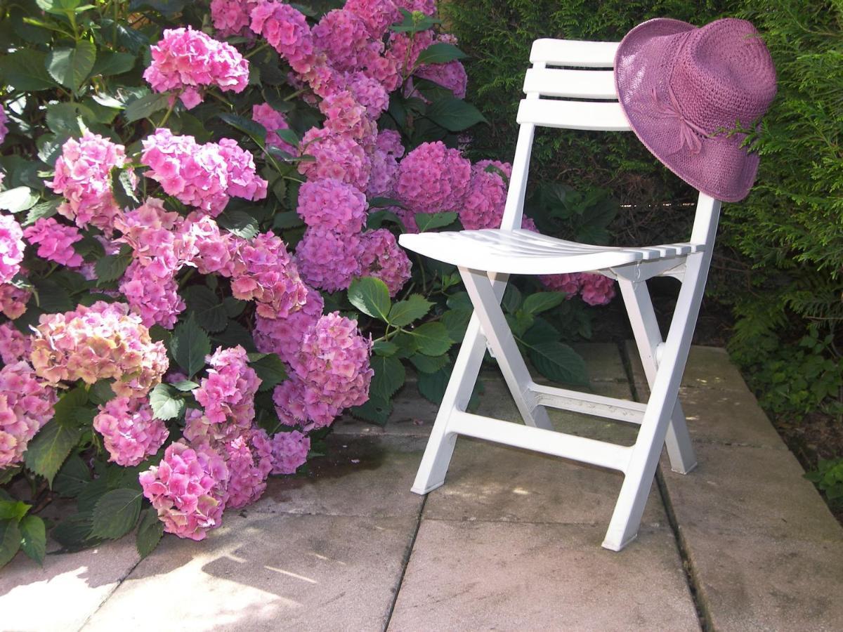 Les Hortensias Sainte-Marie-aux-Mines Ngoại thất bức ảnh